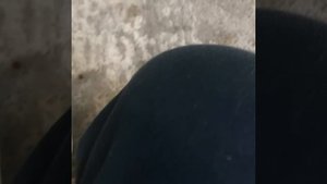 Windows 12 kill screen