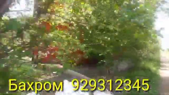 Худжанд шахрига 1500 кг биогумус олиб келдик. 929312345. смотреть онлайн