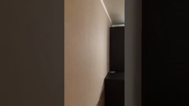 Венеры (цоколь) смотреть онлайн