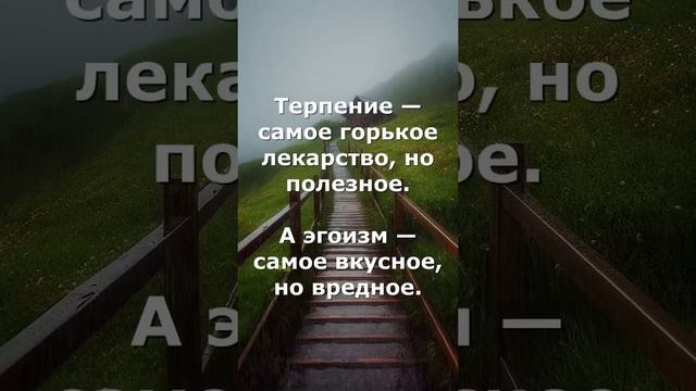 Терпение — самое горькое лекарство, но полезное.  А эгоизм — самое вкусное, но вредное.