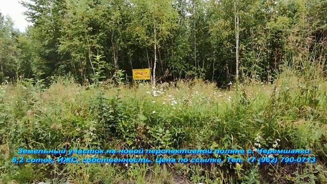 Земельный участок на новой перспективной поляне с. Черемшанки смотреть онлайн