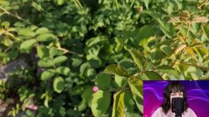 - Дорогая, я погасил кредит моей сестре твоими сбережениями - Лара замерла от ухмылки мужа...