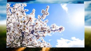 НЕ УНЫВАЙ НА ЖИЗНЕННОМ ПУТИ. Песни Христиан.