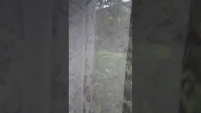 пр.им газеты красноярский рабочий 103, 2-х комн. 45м2 смотреть онлайн