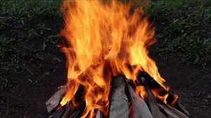 Звуки костра, птицы и хор кукушек