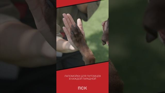 В ЖК RESPECT — всё для счастливой жизни смотреть онлайн