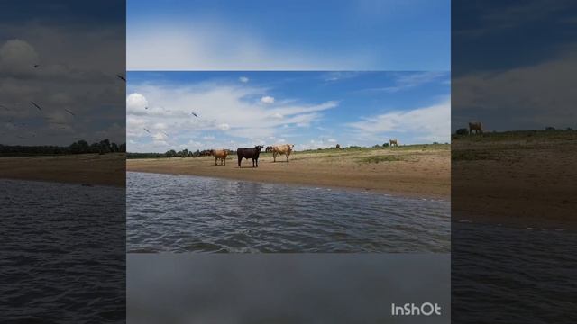 Село Селитренное, Астраханская область