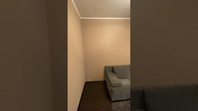 Троицк Нагорная. Отличная однокомнатная квартира! смотреть онлайн