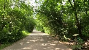 Потеряв в один день наследство и работу, жена богача уехала в глушь… А узнав какой сюрприз ее ждет