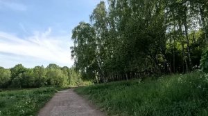 Техничка в день переговоров привела в офис гадалку… А едва гостья коснулась босса, инвесторы ахнули