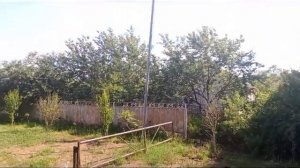 Поселок Большевик Ипатовского района Ставропольского края. часть-2