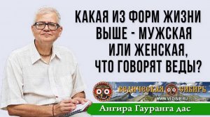 Какая из форм жизни выше мужская или женская, что об этом говорят?