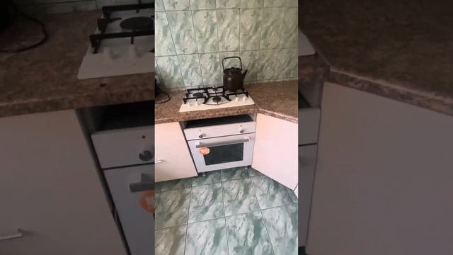 Дом. Орловская область, Орловский район, село Плещеево, улица Андреевская 3