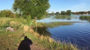 Небольшой обзор/Рыбалка/Карабаш #2024#татарстан#fishing#fish