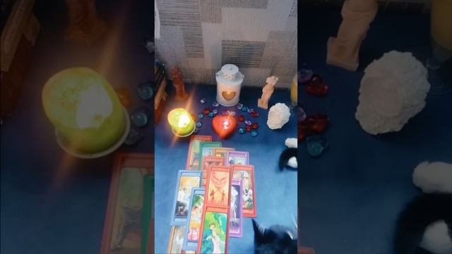 Его мысли 💭о Вас прямо сейчас? смотреть онлайн