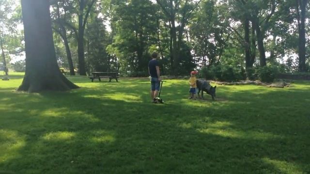 Vlog- поездка в Оквиль