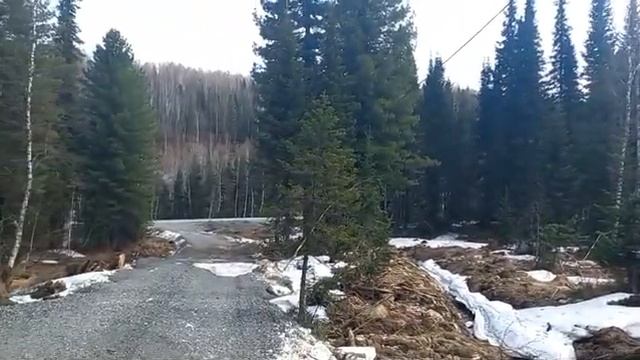 Таёжная 28 смотреть онлайн