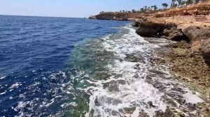 🇾🇪ЛУЧШИЙ ИЗ БЮДЖЕТНЫХ👍 / Первая линия / 5⭐️/ THE GRAND HOTEL SHARM EL SHEIKH / Хадаба /