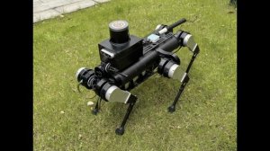 В Китае разработали шестиногих роботов поводырей для помощи незрячим