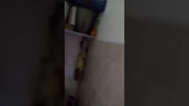 Твардовского,1-14 смотреть онлайн