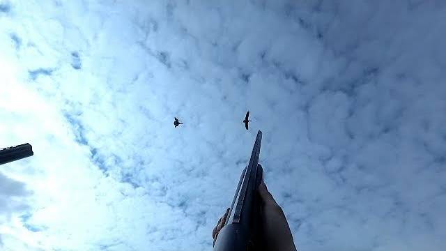 Охота на гуся в Беларуси 20.04.20. Гусь 2020. Goose hunting. смотреть онлайн