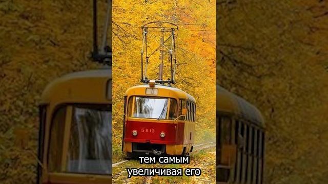 Листья-убийцы