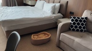 Апарт-отель «Горная дача» на красной поляне !#путешествияпороссии#сочи#обзоротеля #краснаяполяна