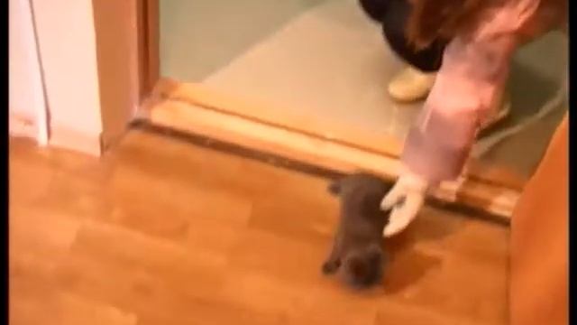 Квартиры Зубцовским сиротам смотреть онлайн