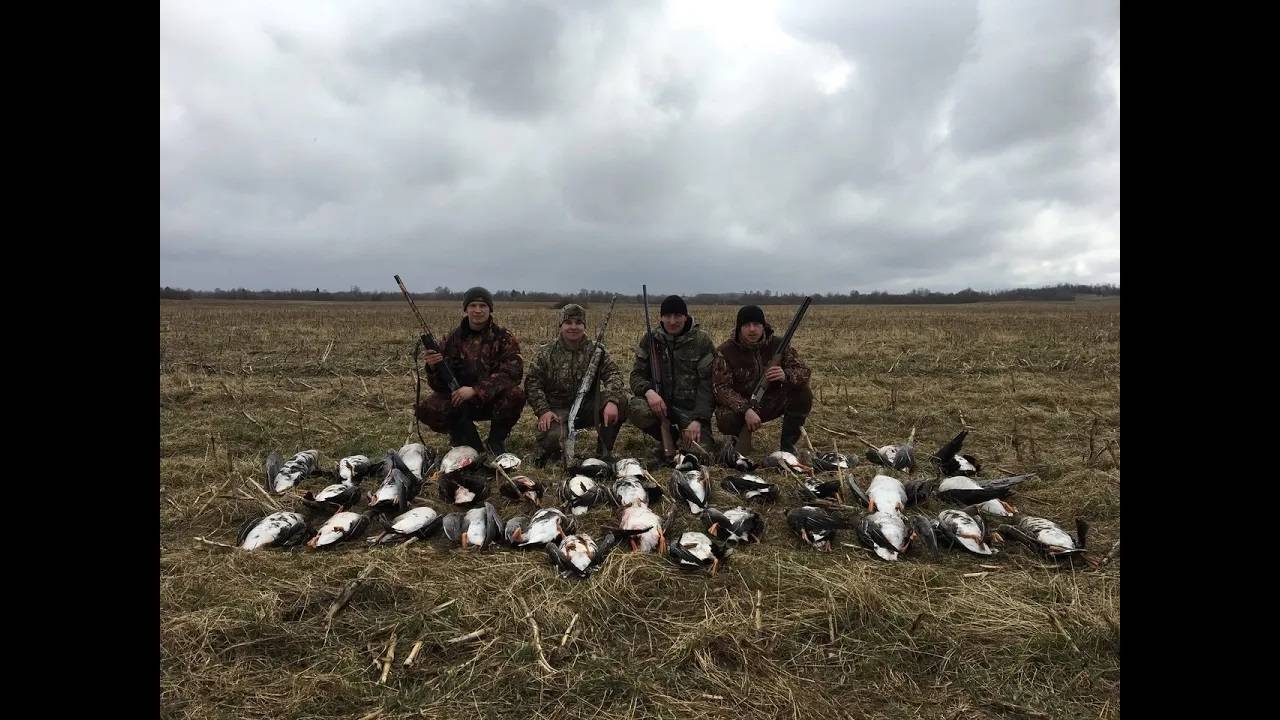 Охота на гуся в Беларуси 21.03.20. Гусь 2020. Goose hunting. смотреть онлайн