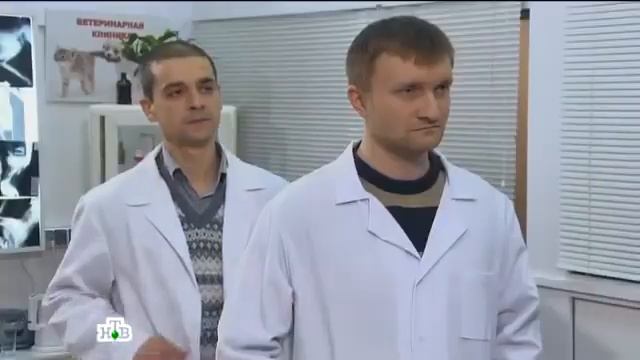 Возвращение Мухтара 2. На грани безумия смотреть онлайн