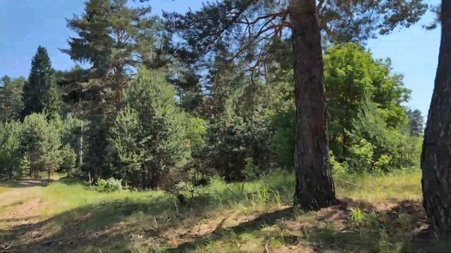 2) Продажа участка Звениговский р-он поселок городского типа Красногорский. Видео обзор за забором. смотреть онлайн