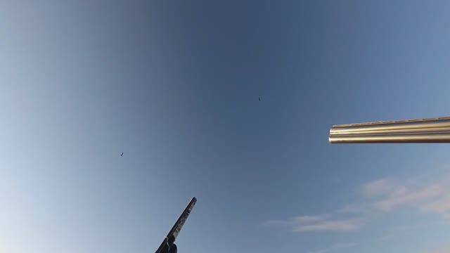 Охота на гуся в Беларуси 18.04.20. Гусь 2020. Goose hunting. смотреть онлайн