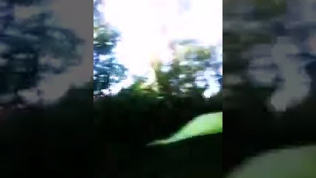 Призрак не страх смотреть онлайн