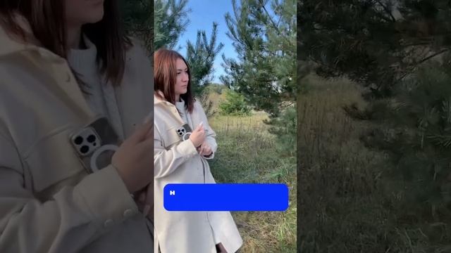 Как можно купить участок в КП Сосны