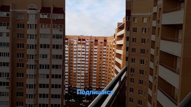 красивые человейники