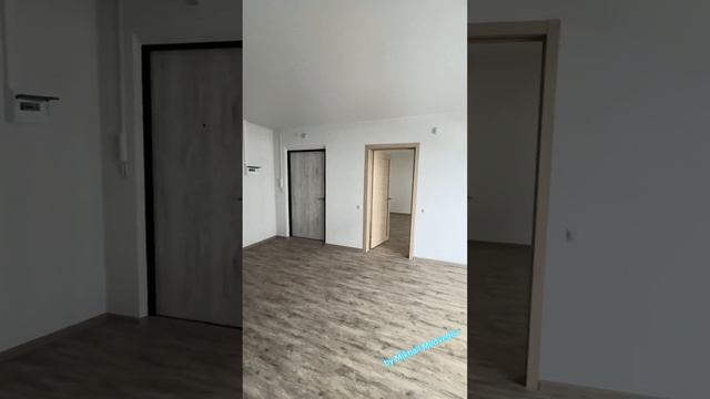 Студия +3 спальни ЖК Конфетти