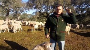 Привіт Роману,з каналу ,,Адреналін,,зі Сонячної Португалії!