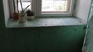 🏢Одно подъездная башня 1-447с-25! Лифт (КМЗ-2014 г.в.) V=1м/с, Q=400кг (г. Екатеринбург).