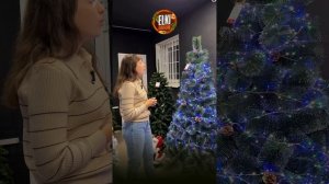 Обзор ПВХ елок. Что такое ПВХ елка?