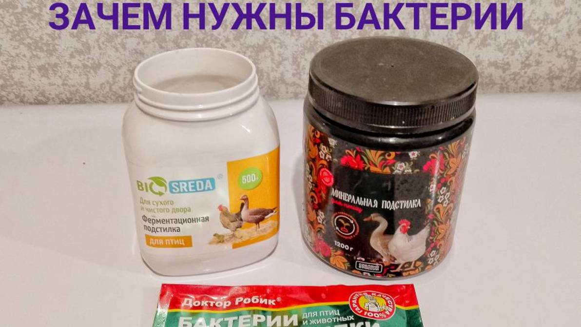 Бактерии.Зачем нужны.