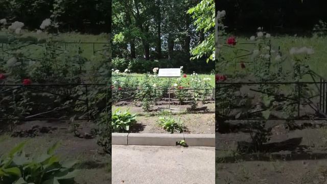 #городароссии #russia #великийновгород смотреть онлайн