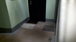 Лифт Санкт-Петербург Пр. Ударников 32к3 П-1 320 (286)