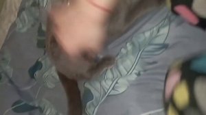 РУМ ТУР НАШЕЙ НОВОЙ КВАРТИРЫ! #румтур #minecraft #gamepro #gs5