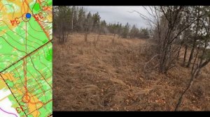 Оренбург. Тихая. 16.10.2024 Кросс-классика