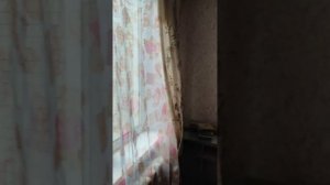 Ленинградская обл, п.Межозёрный д 1
