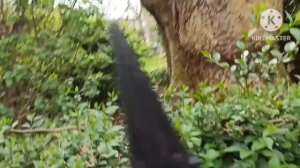 Марина Иванова.Юля опять не разговаривает,артист бродит везде совсем один