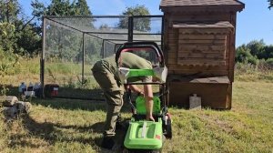 Антикварная мебель обретает новую жизнь. Живем на черничном хуторе, а работаем на дубовом