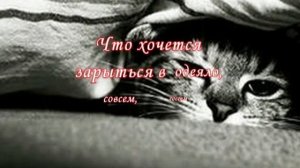 Разве осень виновата