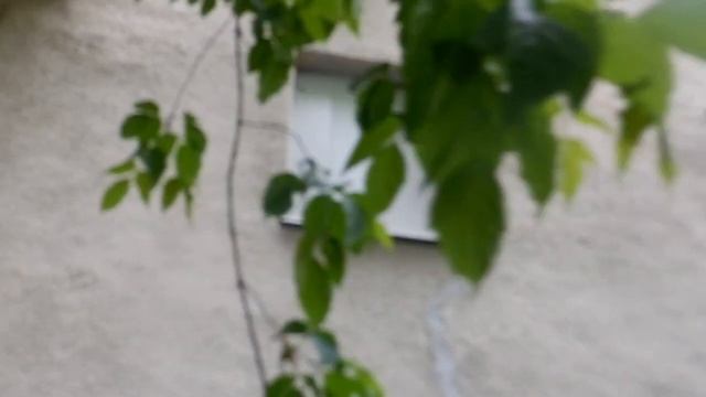 дом на Сходненской, 42 подготовлен под снос смотреть онлайн