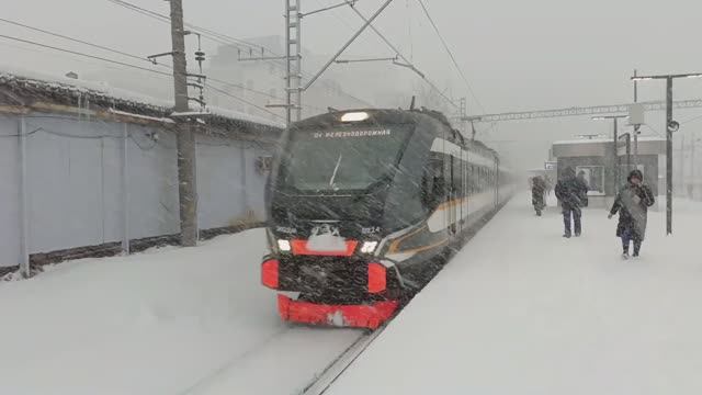 Электропоезд ЭП-2ДМ в снегопад на о.п. Савёловская (07.02.2024)